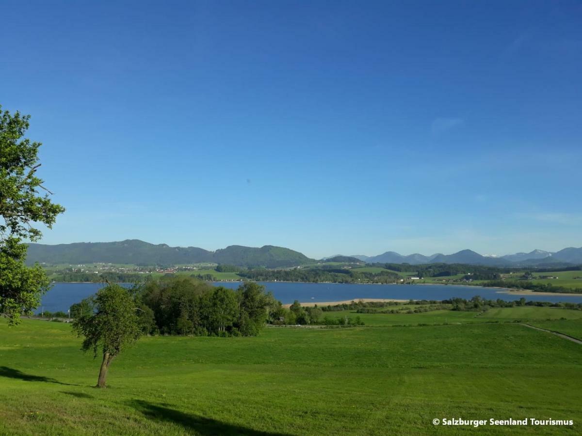 Pp-Camping Wallersee Seekirchen am Wallersee Dış mekan fotoğraf