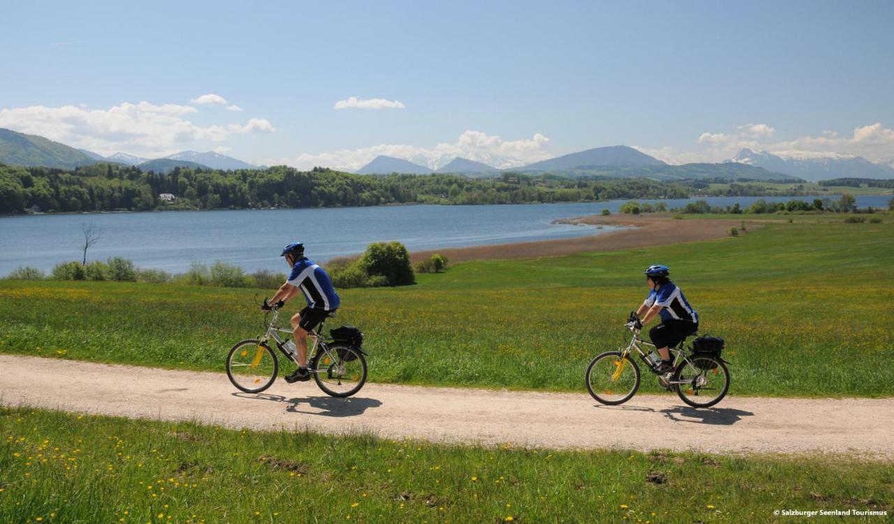 Pp-Camping Wallersee Seekirchen am Wallersee Dış mekan fotoğraf