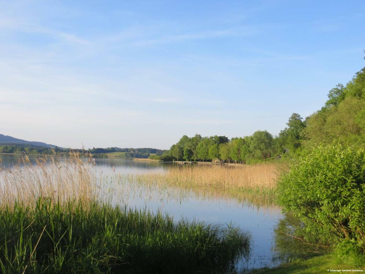 Pp-Camping Wallersee Seekirchen am Wallersee Dış mekan fotoğraf