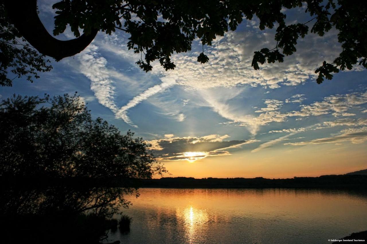 Pp-Camping Wallersee Seekirchen am Wallersee Dış mekan fotoğraf